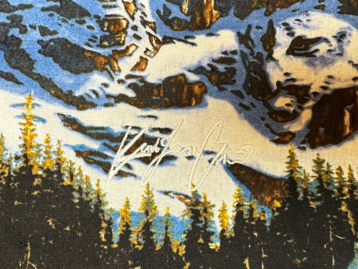 Western LS Shirt